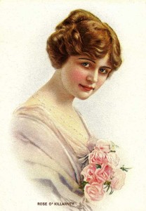 Rose O'Killarney